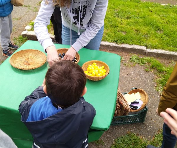 com solidali lab bambini (1)